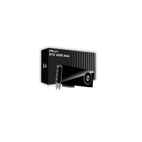 VGA NVIDIA RTX 6000 Ada- card only